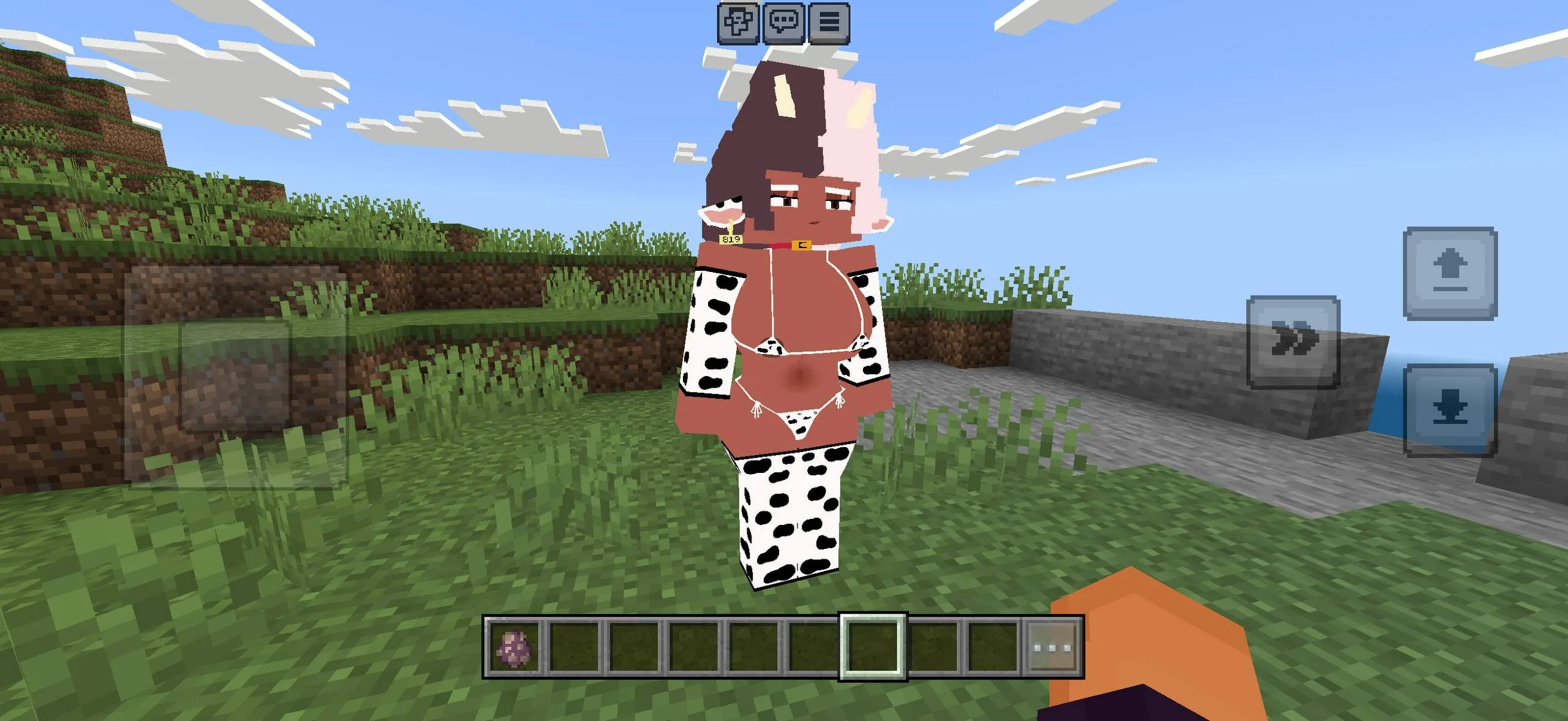Minecraft PE Ellie Mod Pack model preview
