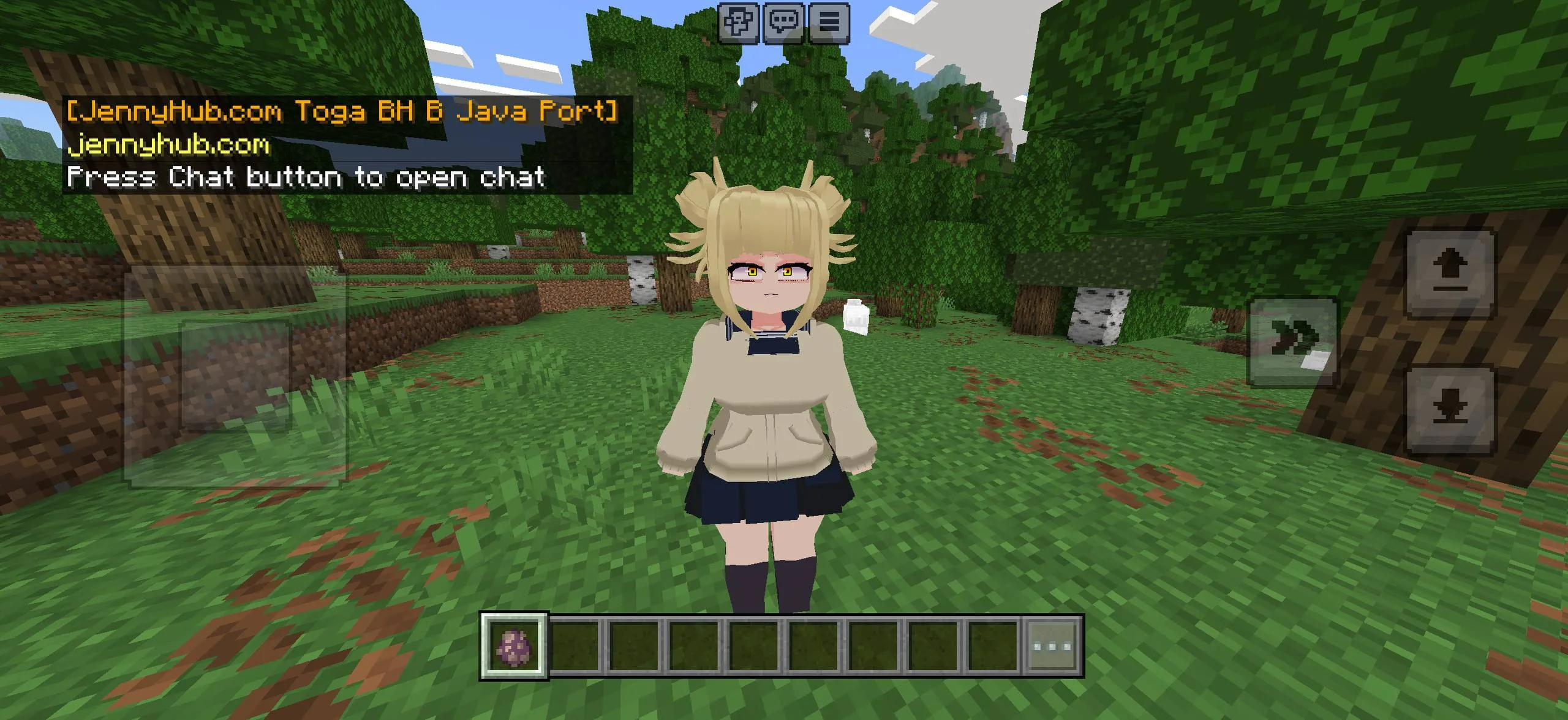 Bia Pack Minecraft Bedrock character model