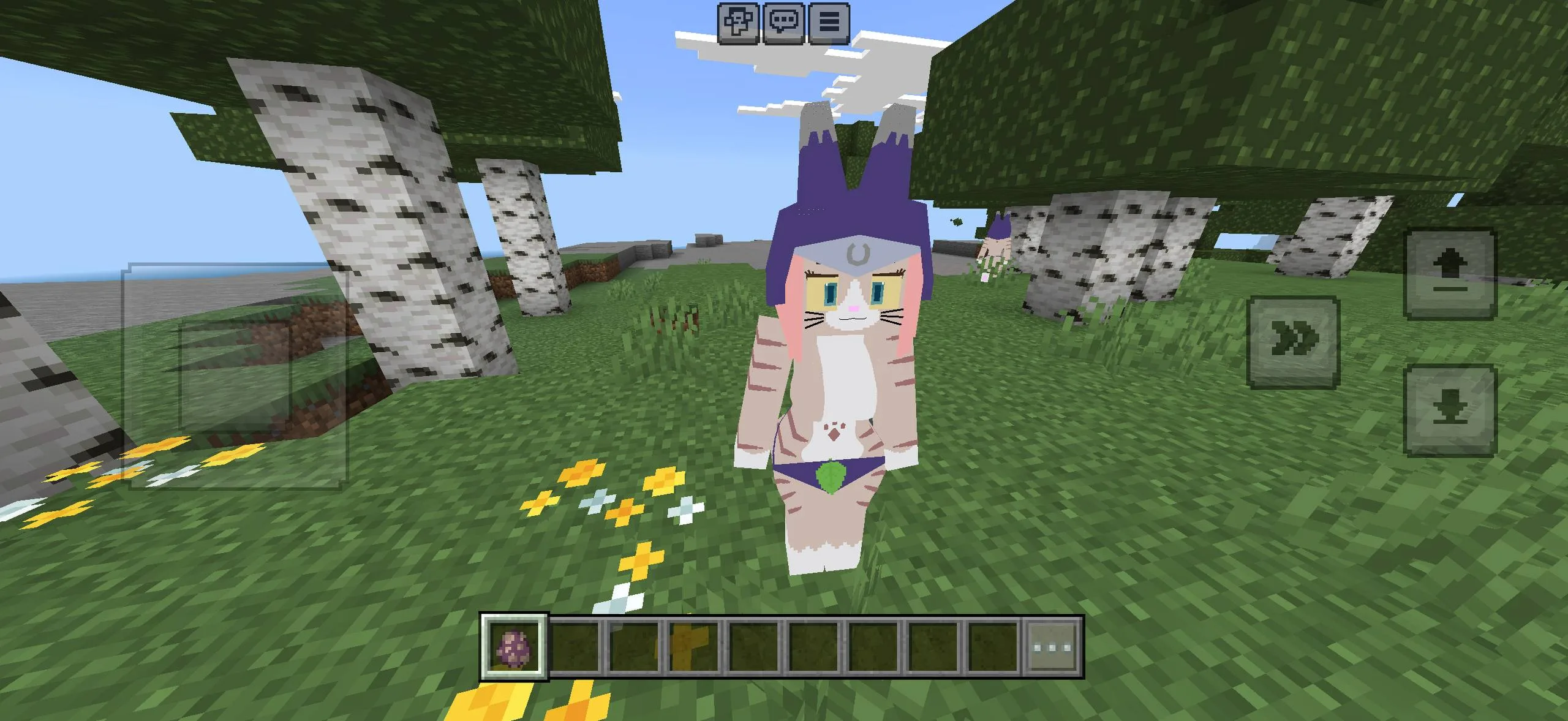 Bia model preview for Minecraft PE
