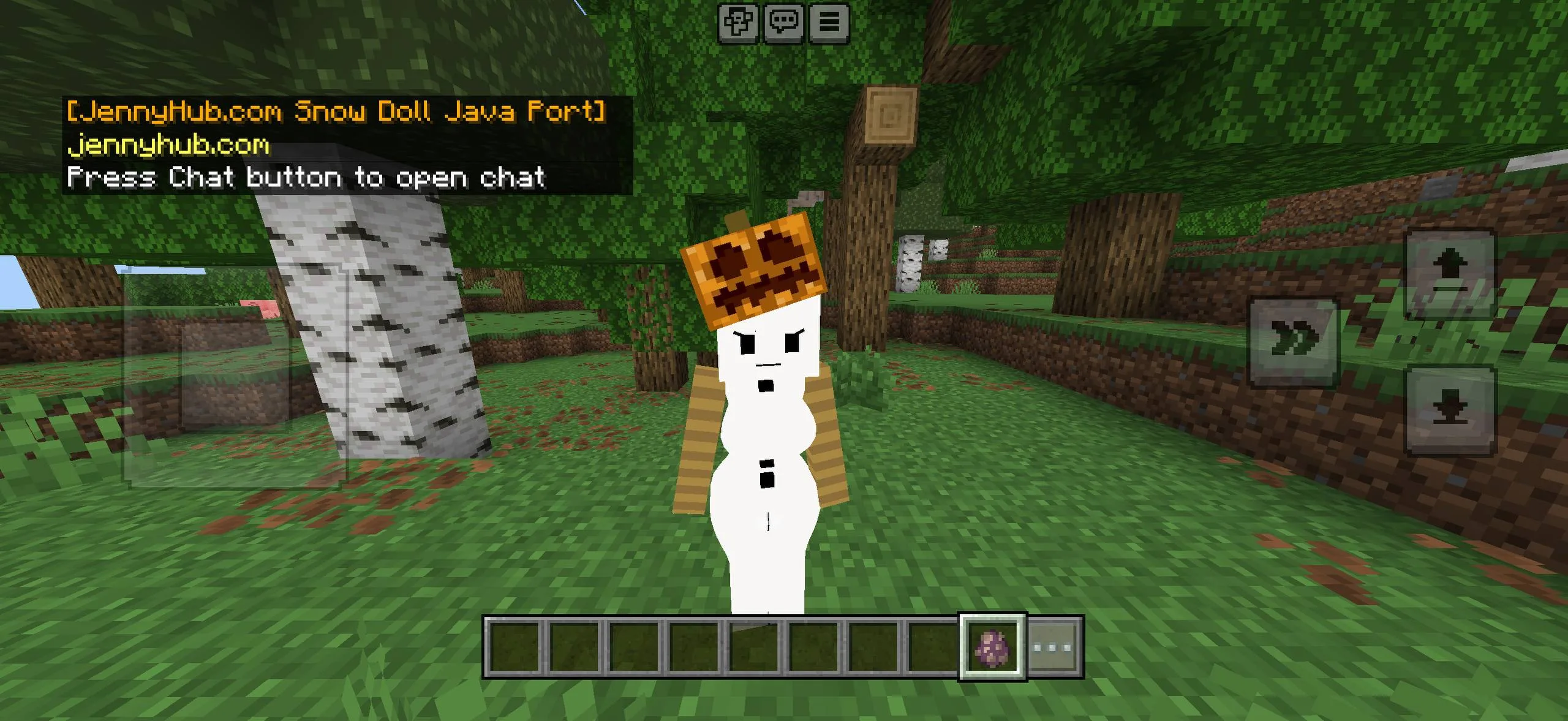 Bia-style character model in Minecraft PE