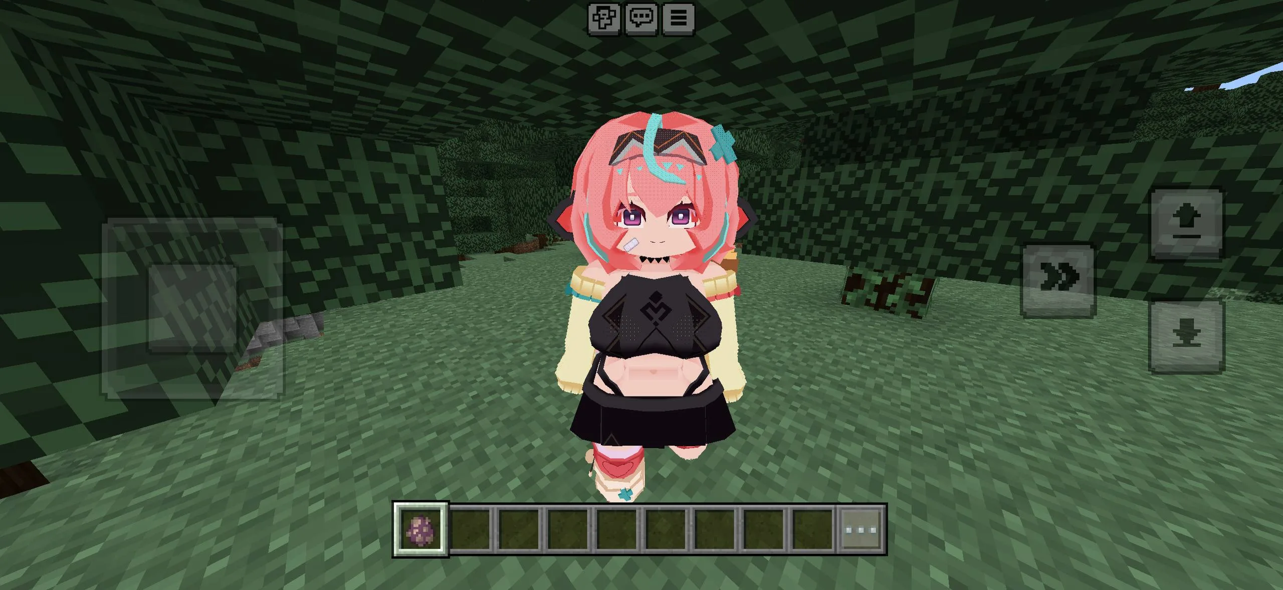 Minecraft PE Bia character model preview
