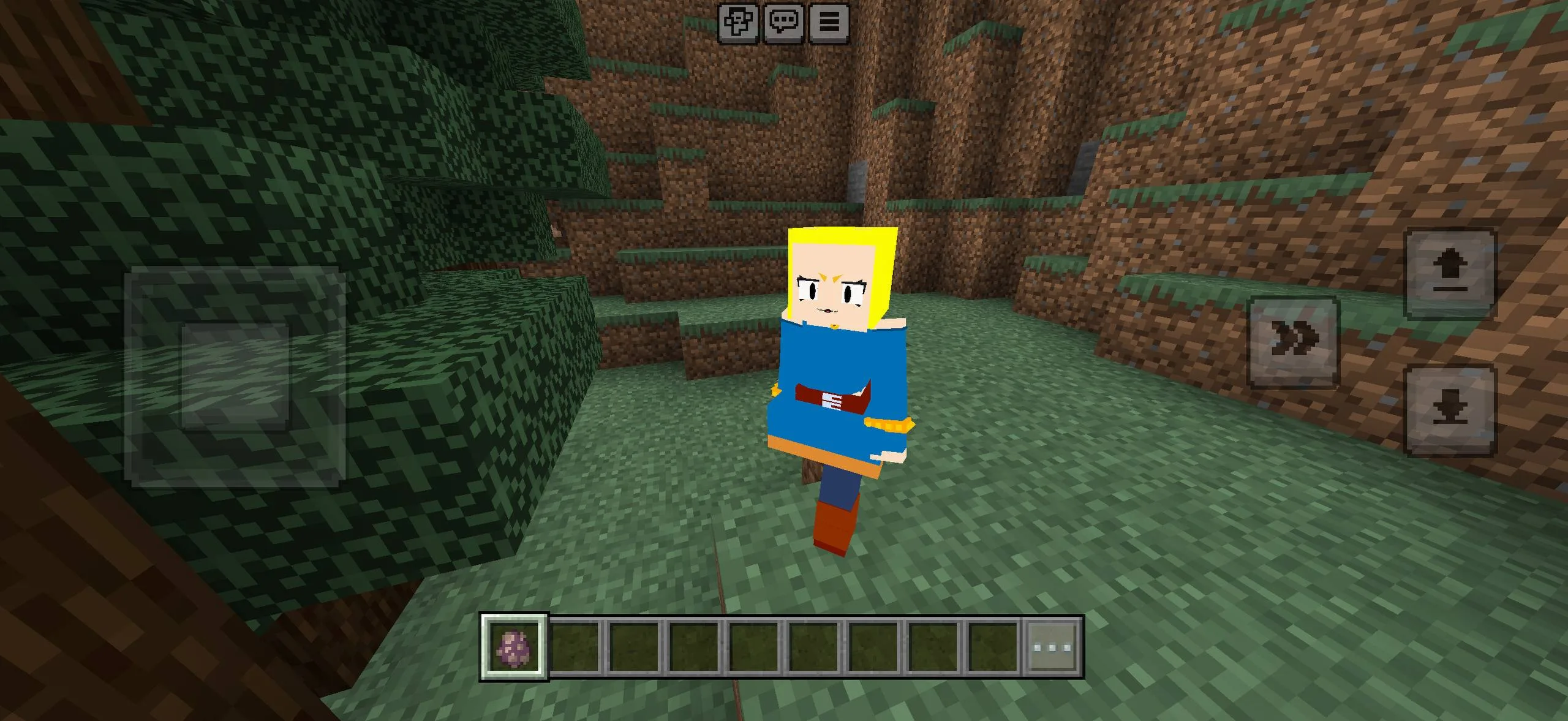 Bia Pack Bedrock model screenshot